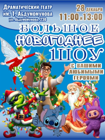 Большое новогоднее шоу